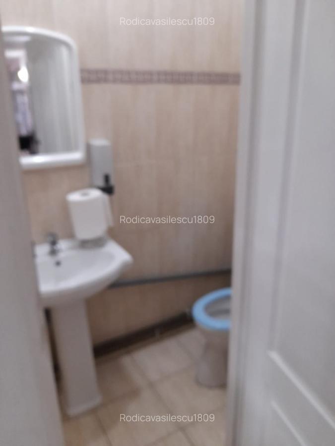 Spațiu generos Timișoara - 5