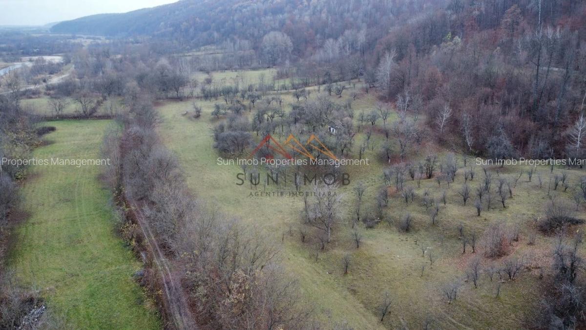 Teren Construcții intravilan de 36000 mp, în Provița de Jos - 6