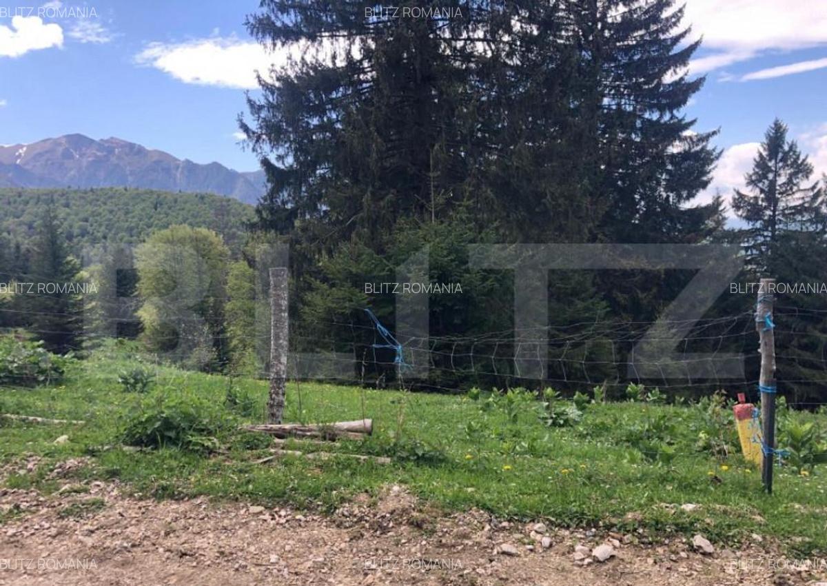 De vanzare, teren intravilan 5.500mp, Predeal - 19