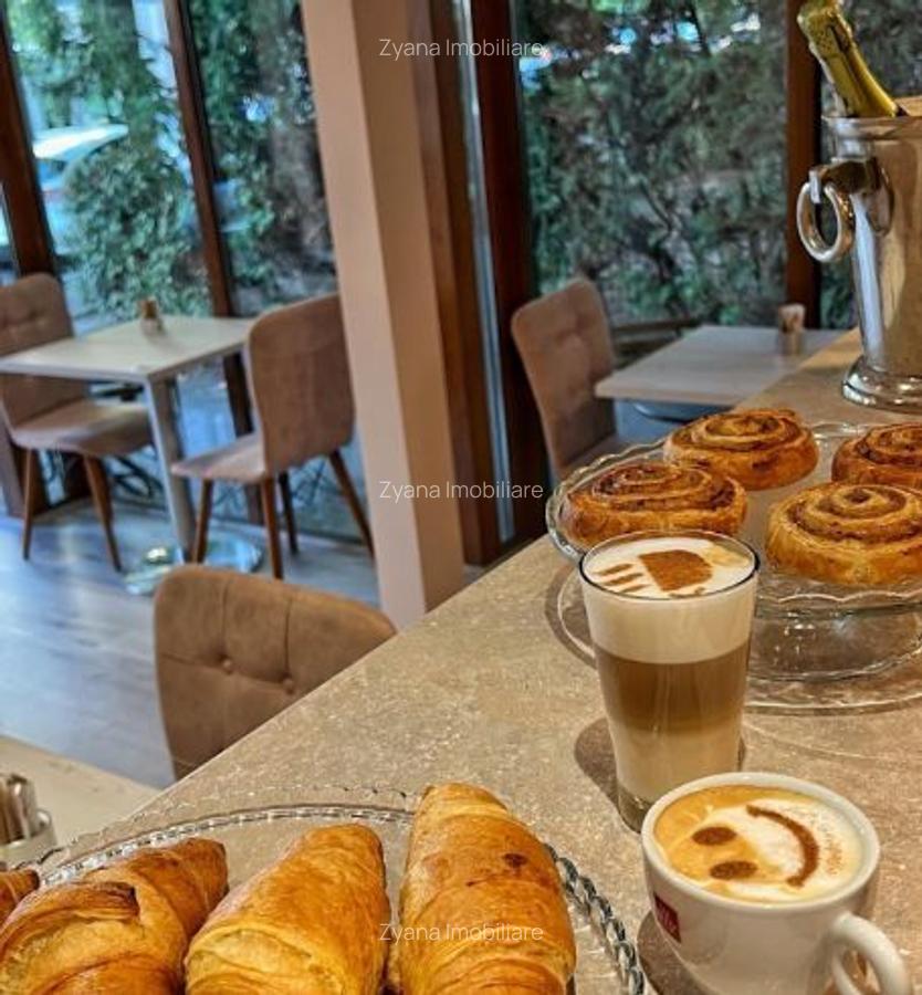 Spatiu Comercial - Amenajat Bistro & Cafenea - 100mp. Stefan cel Mare (Langa Ambasada Turciei) - 2