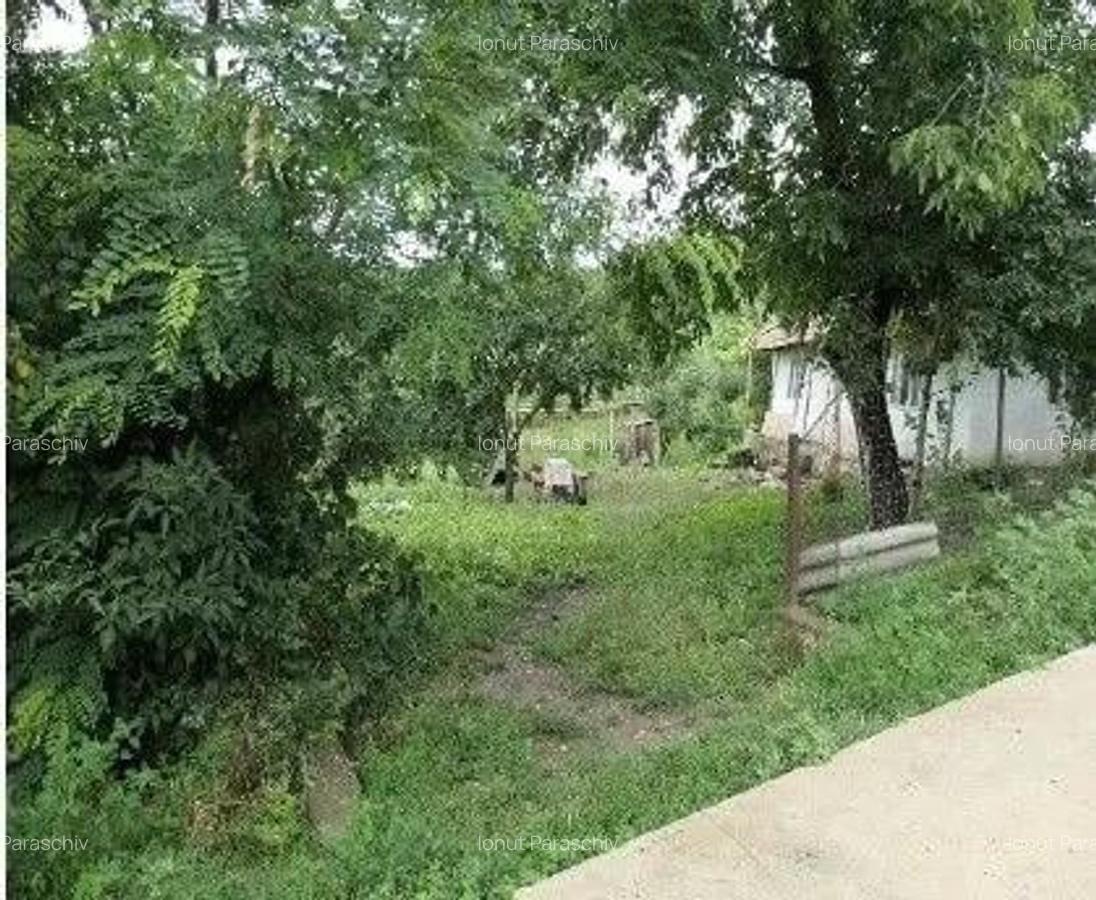 Casa si teren Costinesti, Botosani, ID: R2728052 - 13