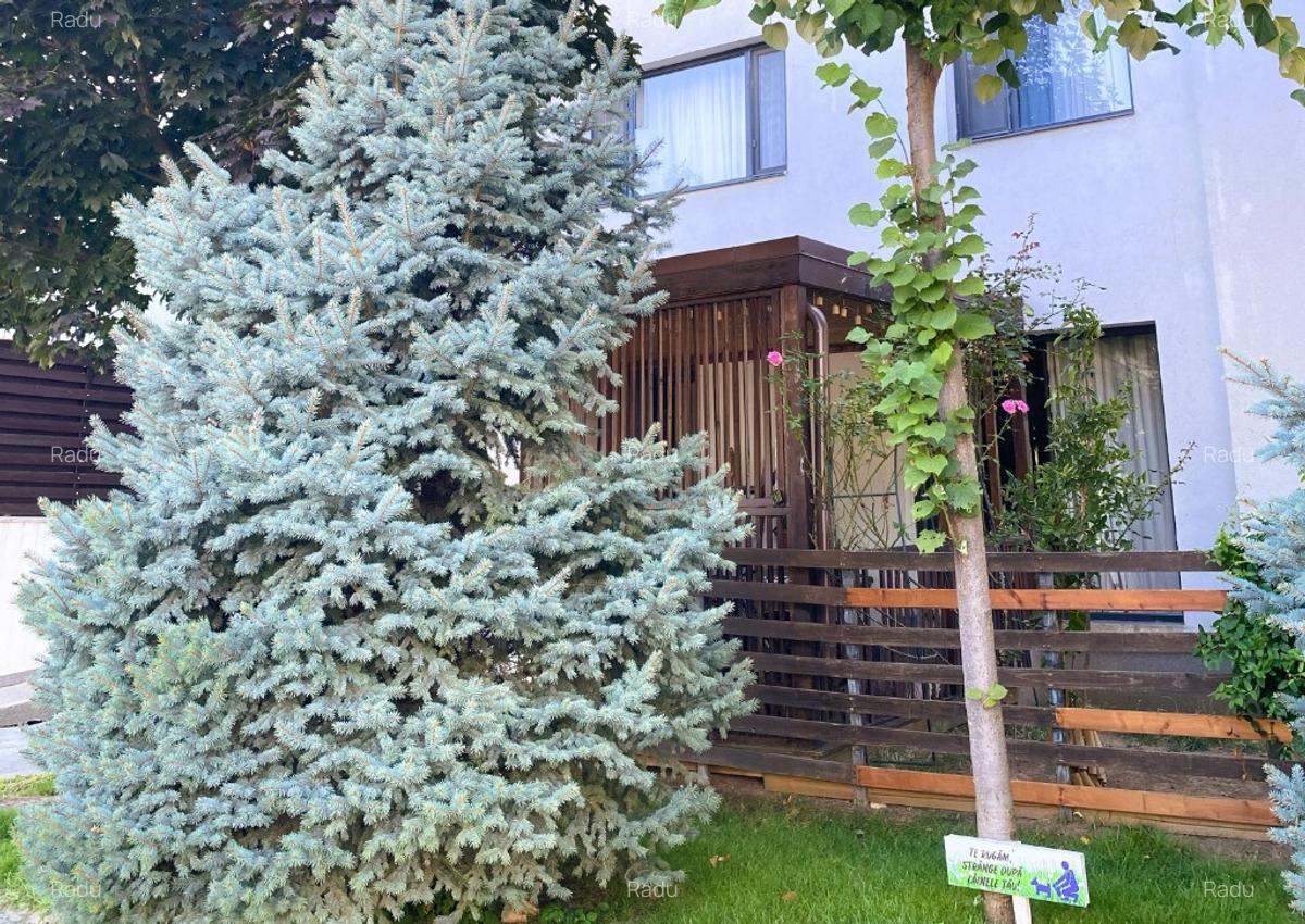Baneasa | Apartament 3 cam 78mp | Terasa superba | Mobilat,Loc Parcare - 15