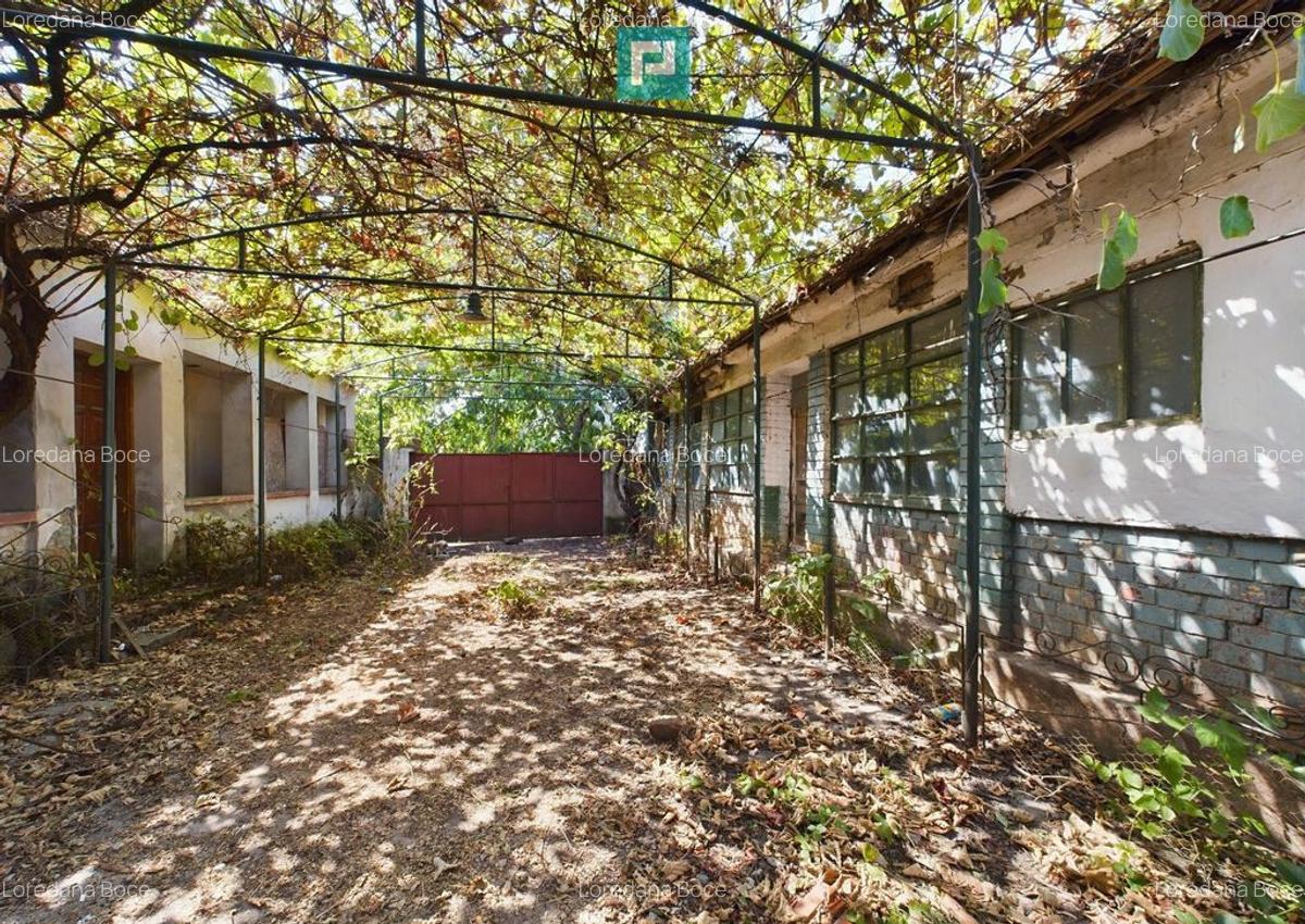 Casa batraneasca in Sustra, Timis - 1