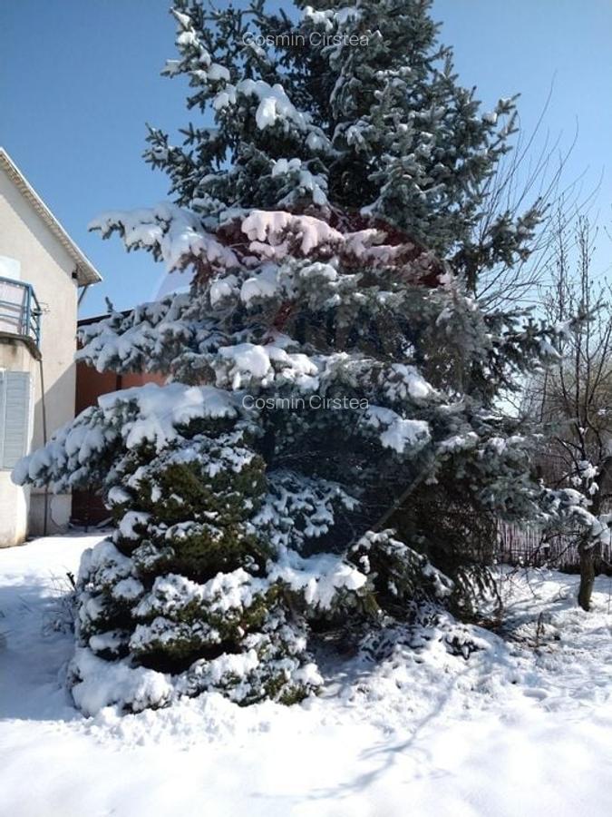 DE VANZARE Casa / Vila cu 6 camere in Popesti-Leordeni - 44