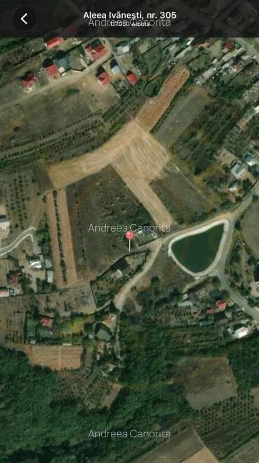 Teren de 533 mp - 10 min de Pitesti-Albota Arge?! - 7