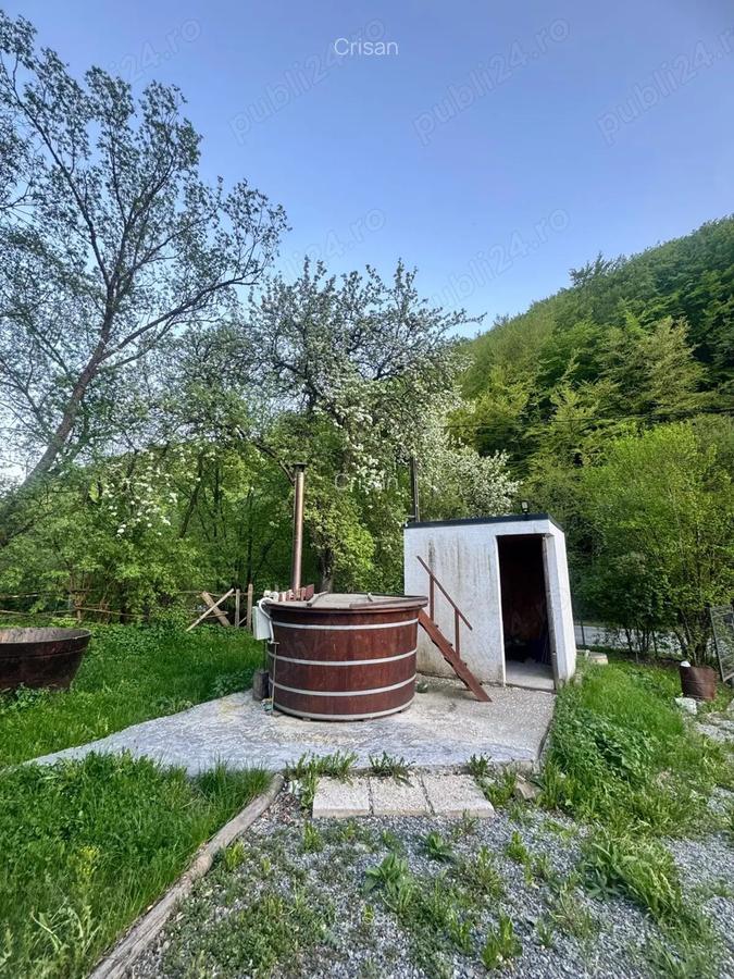 Vand casa la munte in Baisoara -Cluj - 2
