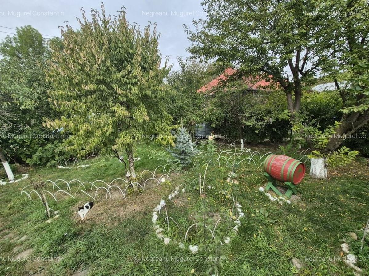 Vila 4 camere + teren 818 mp central Provita de Sus (lângă școală) - 51