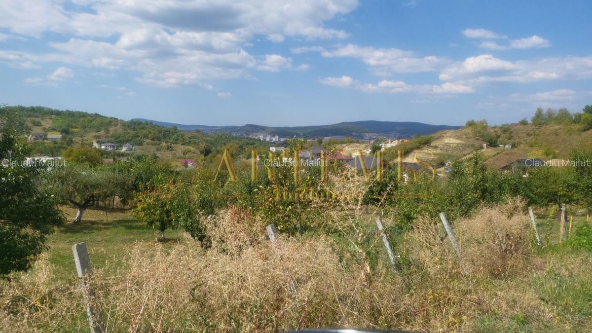 Teren intravilan 1279 mp , Valea Budacului - 4