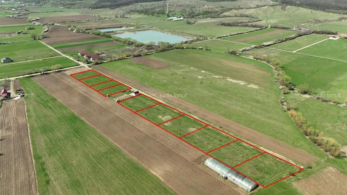 Teren Construcții intravilan de 600 mp, în Ineu - 1