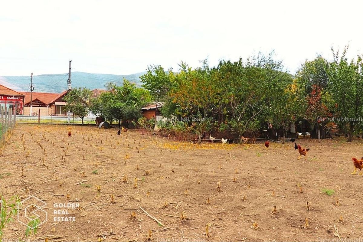 Casa in centrul localitatii Galsa - LINISTE LA TINE ACASA - COMISION ZERO - 15