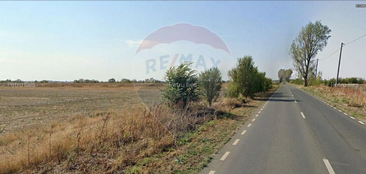 Teren intravilan 7.9 ha, Afumati, deschidere 120m Soseaua Stefanesti - 4