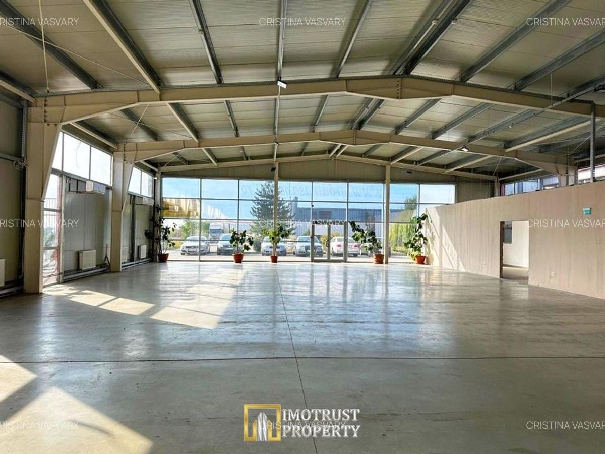 Hala mixta 800 mp de inchiriat – showroom, birouri, depozit – Arad - 3