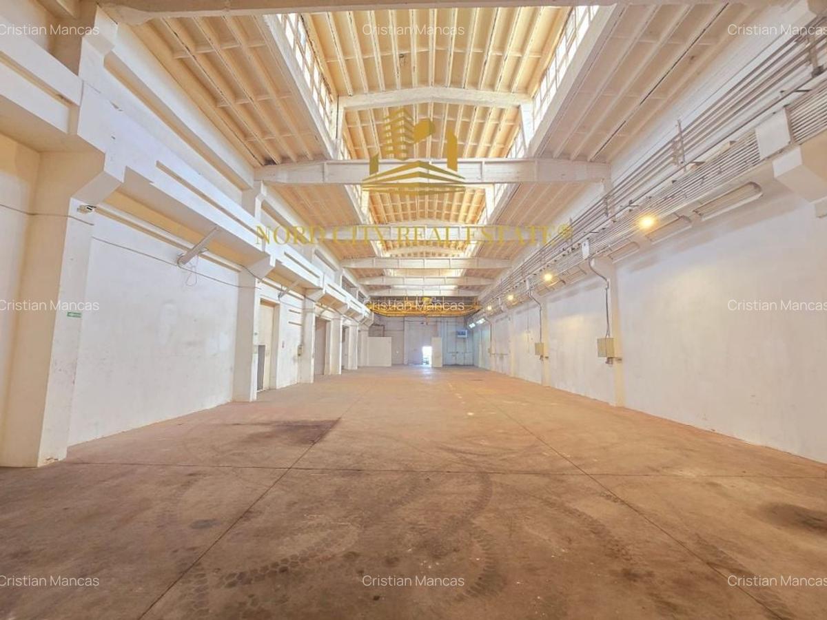 Hala Otopeni - comision 0% - 17