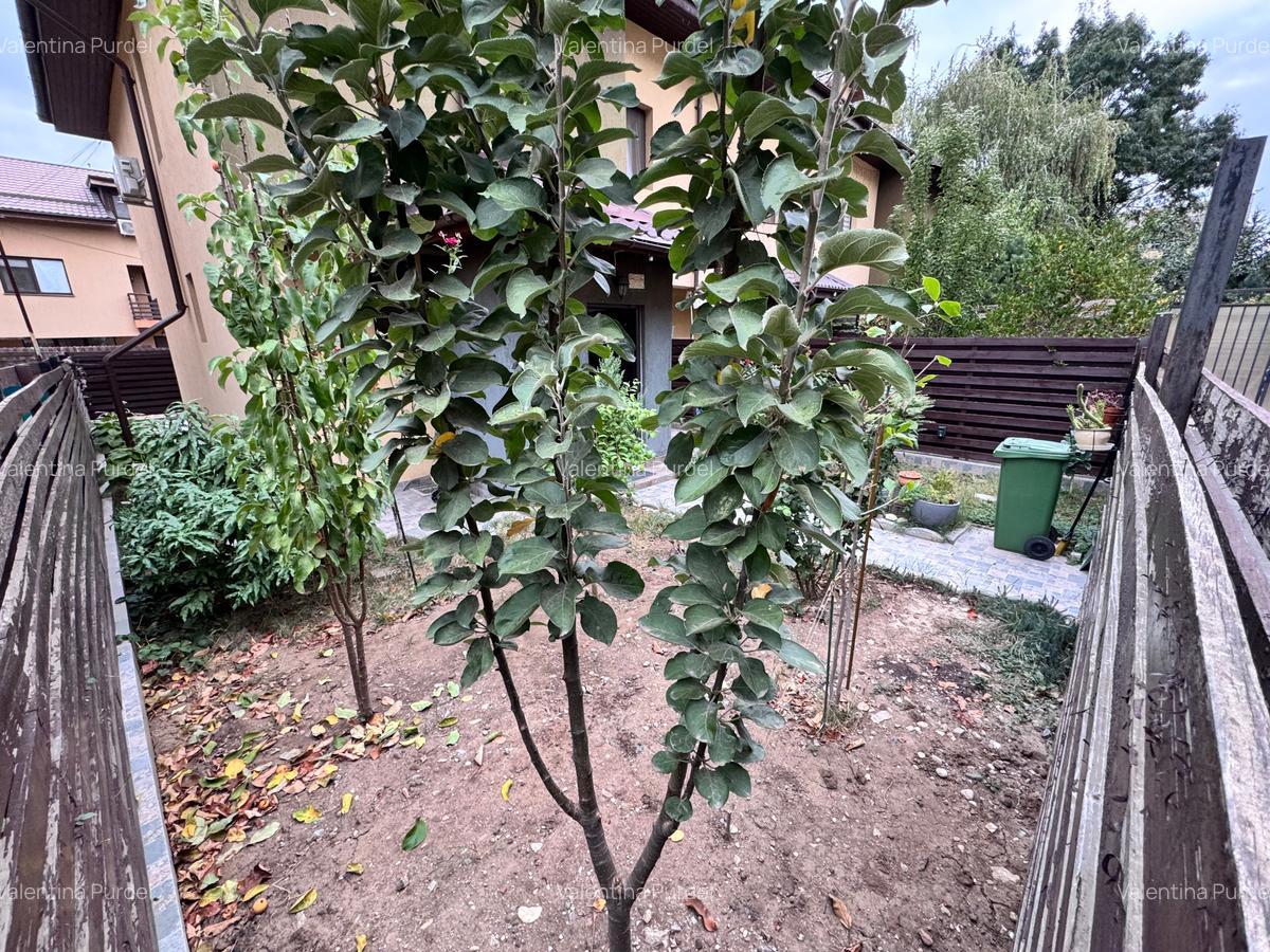 Vila adiacent Drumul Fermei, Mobilata si utilata - 26
