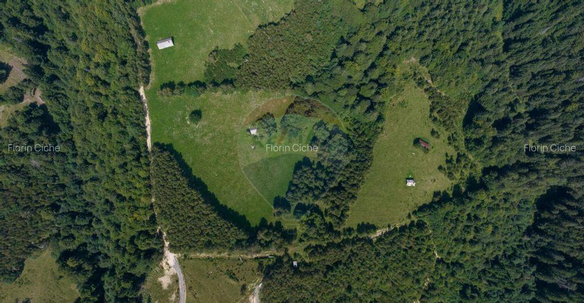 Teren Panoramic in Bran Vedere spre Bucegi & Piatra C... - 3