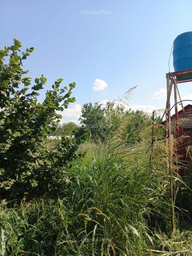 Vand casa - 1 Vand casa - 1