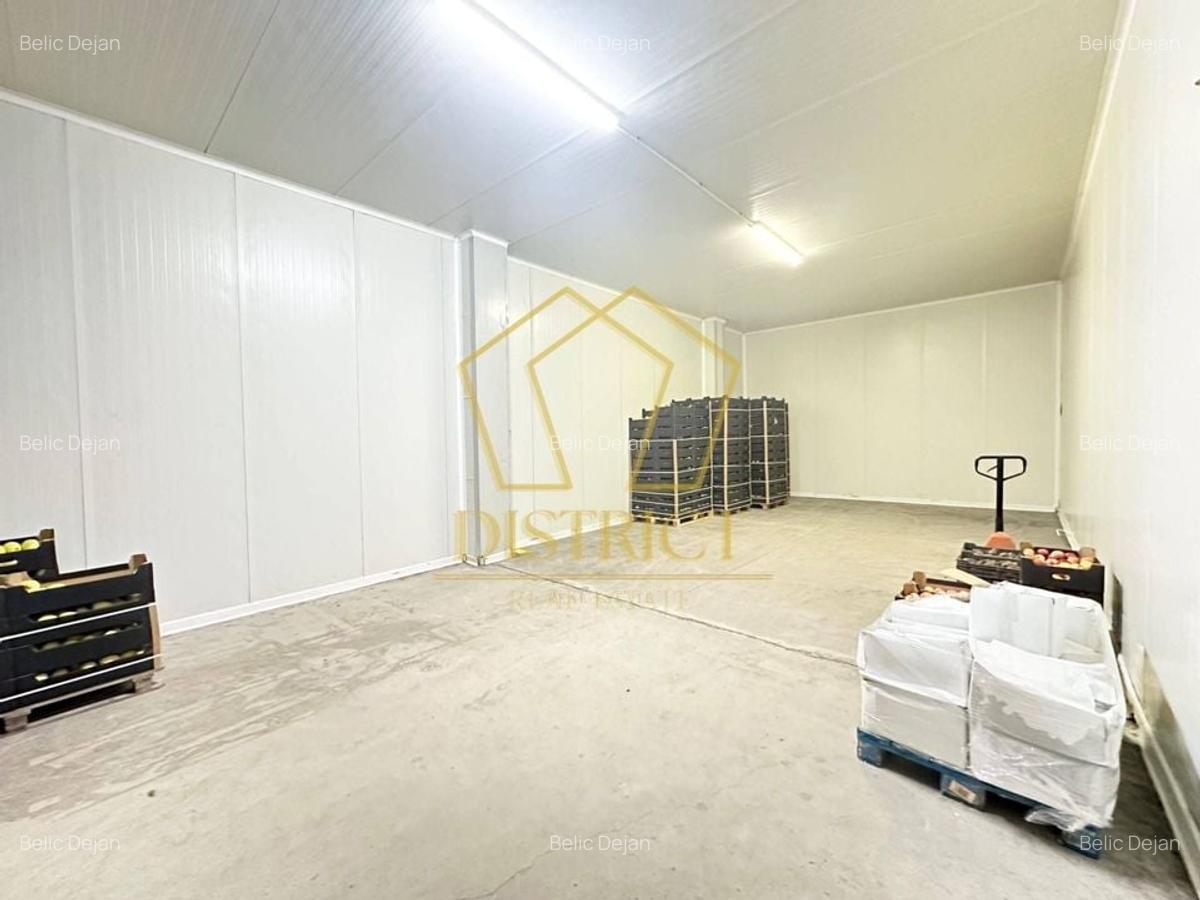 Hala industriala | Freidorf | Timisoara - 6