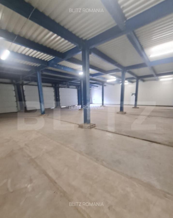 Hala open space, 400 mp, inaltime 4,5 m, Luna de Sus - 3