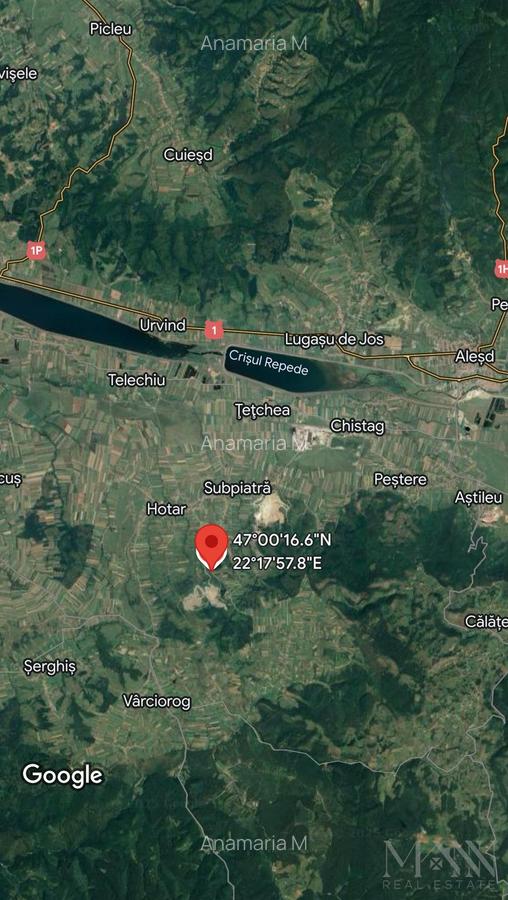 Teren de vânzare | 2,2 ha pădure și fâneață/arabil | zona Hotar, Bihor - 2