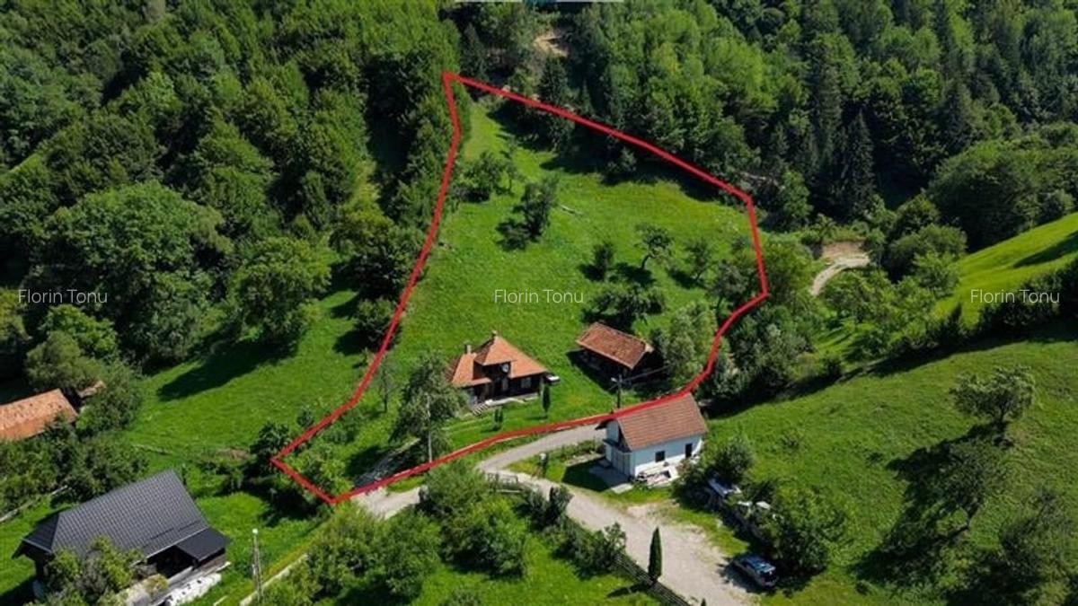 FILM! Proprietate autentica, Bran-Simon, 4.300 mp teren, casa traditionala + ane - 5