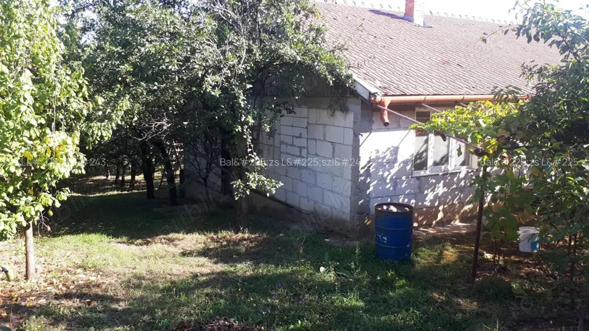 Casa mare de familie + casa secundara, teren 5500 m , 300 pomi Oradea, strada Prunilor - 7