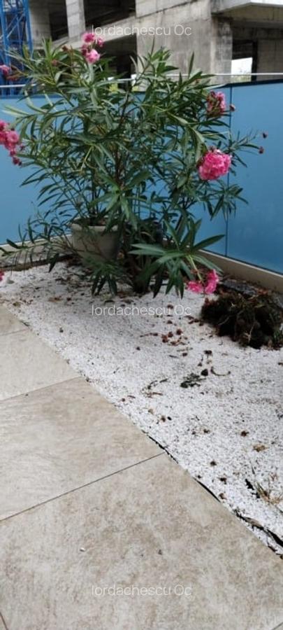 APARTAMENT CU 2 CAMERE DE INCHIRIAT - MAMAIA NORD - 12