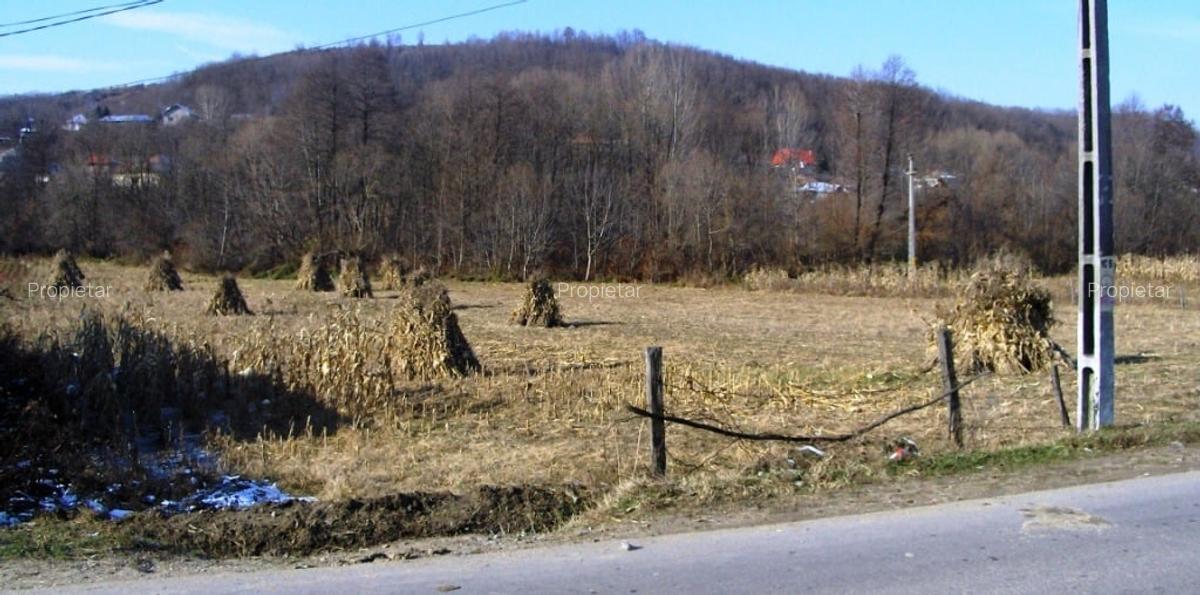 Vad 22000 mp INTRAVILAN BOGATI DJ702C jud Arges - 5