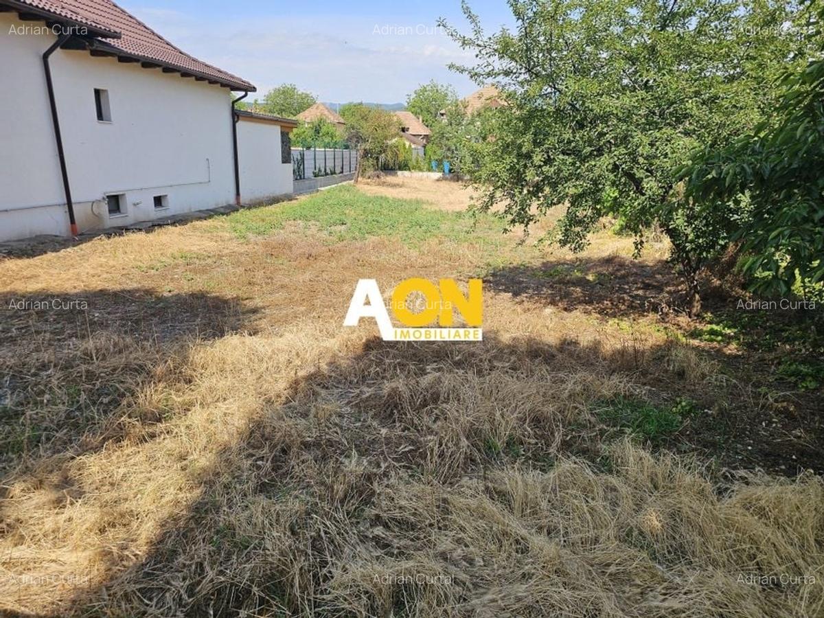 Teren intravilan 704 mp, zona HCC, Cetate - 1