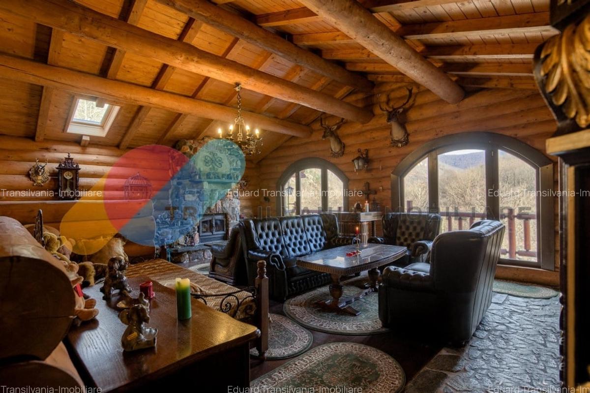 Complex  Printesa din Carpati  - Oportunitate de Investitie Unica pe Valea Aries - 12