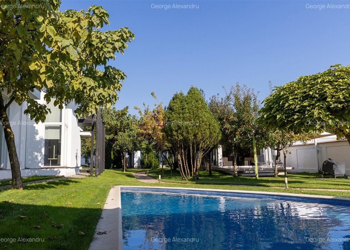 Vila Exclusivista Tartasesti - Mogosoaia - 39