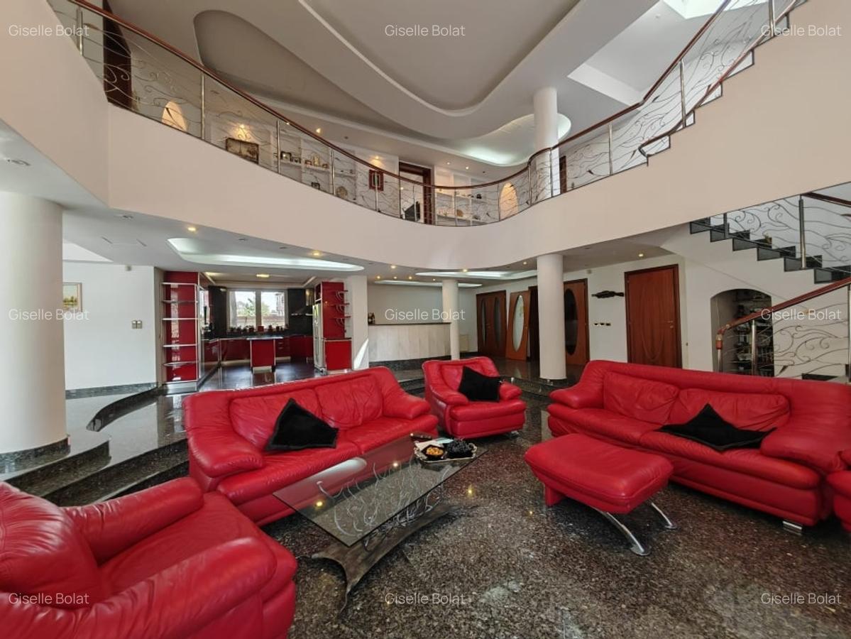 Inchiriere vila spatioasa Iancu Nicolae - piscina, util 800 mp, teren 1.600 mp - 3