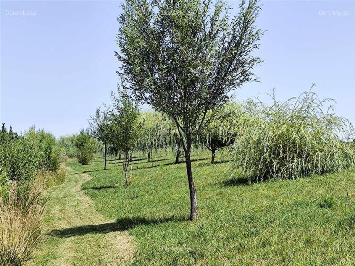 RECO Balta privata cu casa - 22