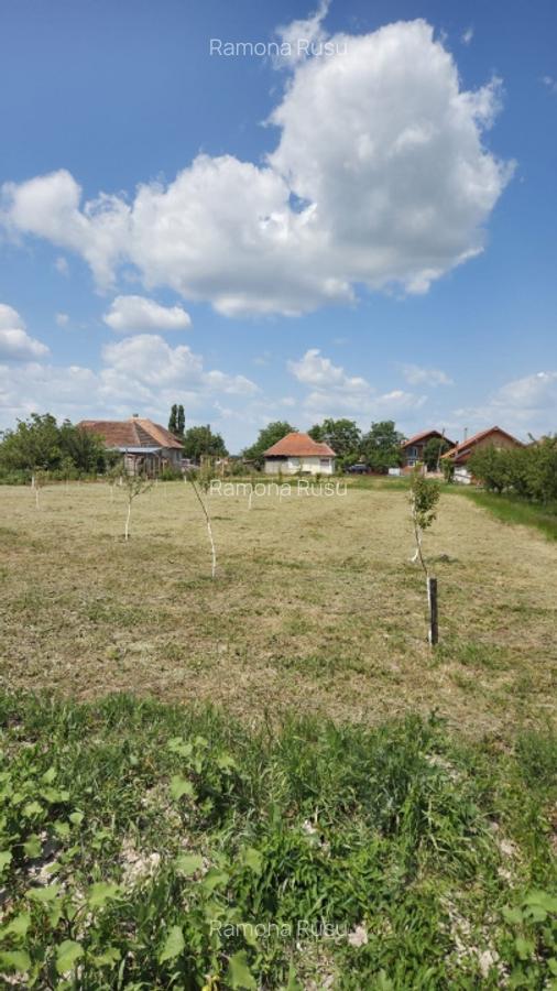 Casa  cu teren de 40 ari in localitatea Gelu - 7