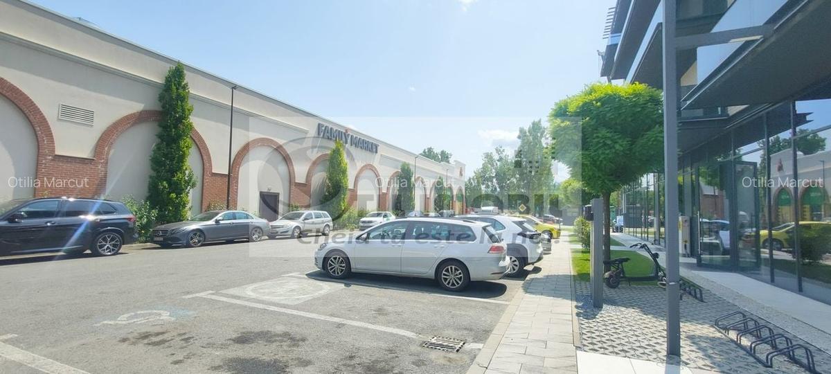 Garsonieră decomandată, mobilată în Bucium - 9