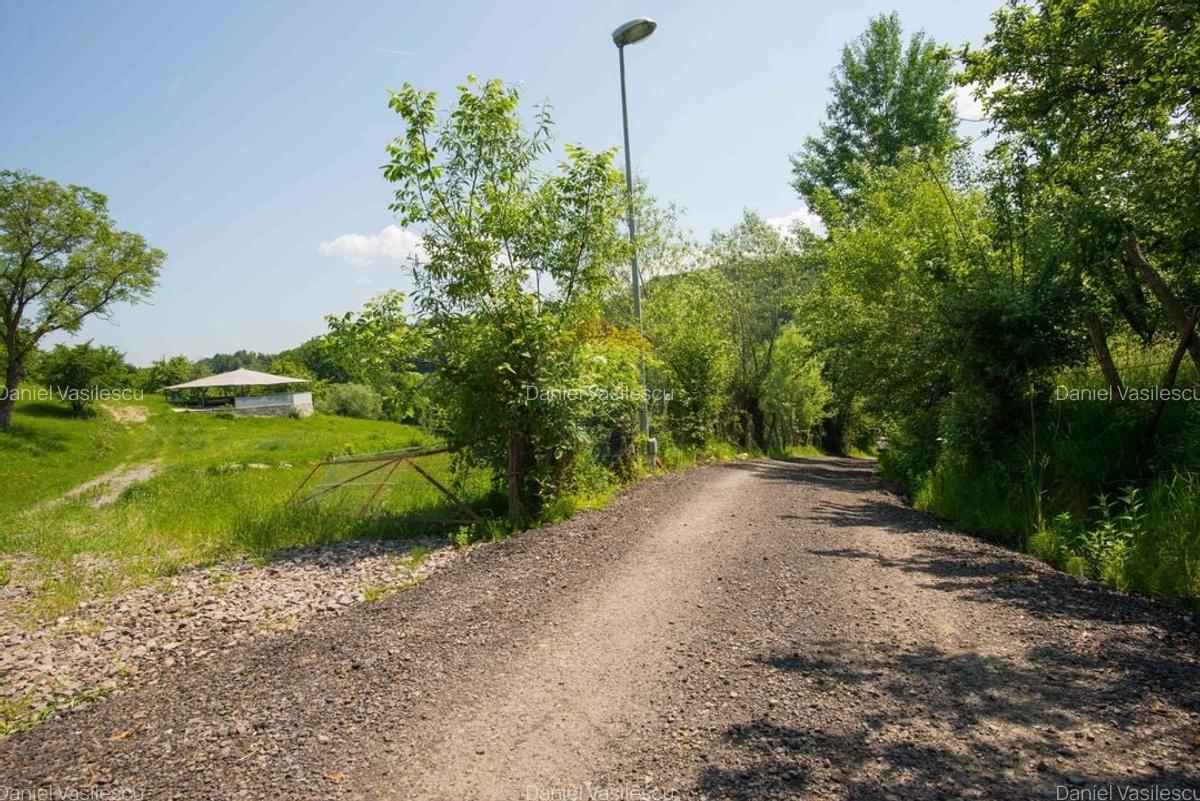 Teren Construcții intravilan de 5495 mp, în Bran - 19