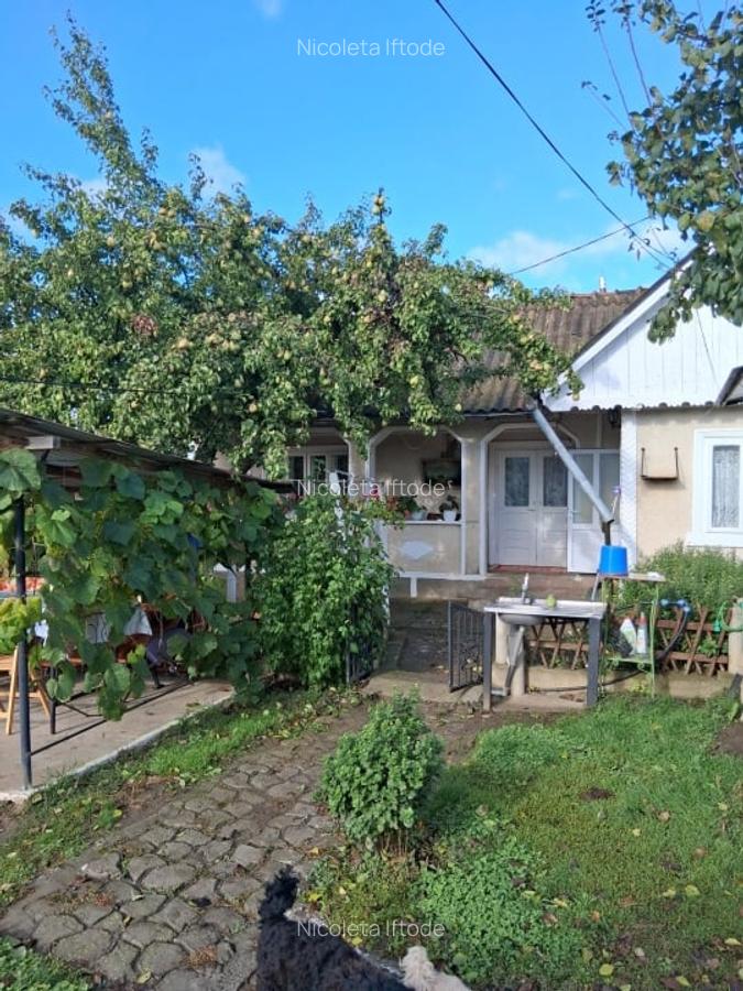 Casa si teren 2000mp Draguseni - 4