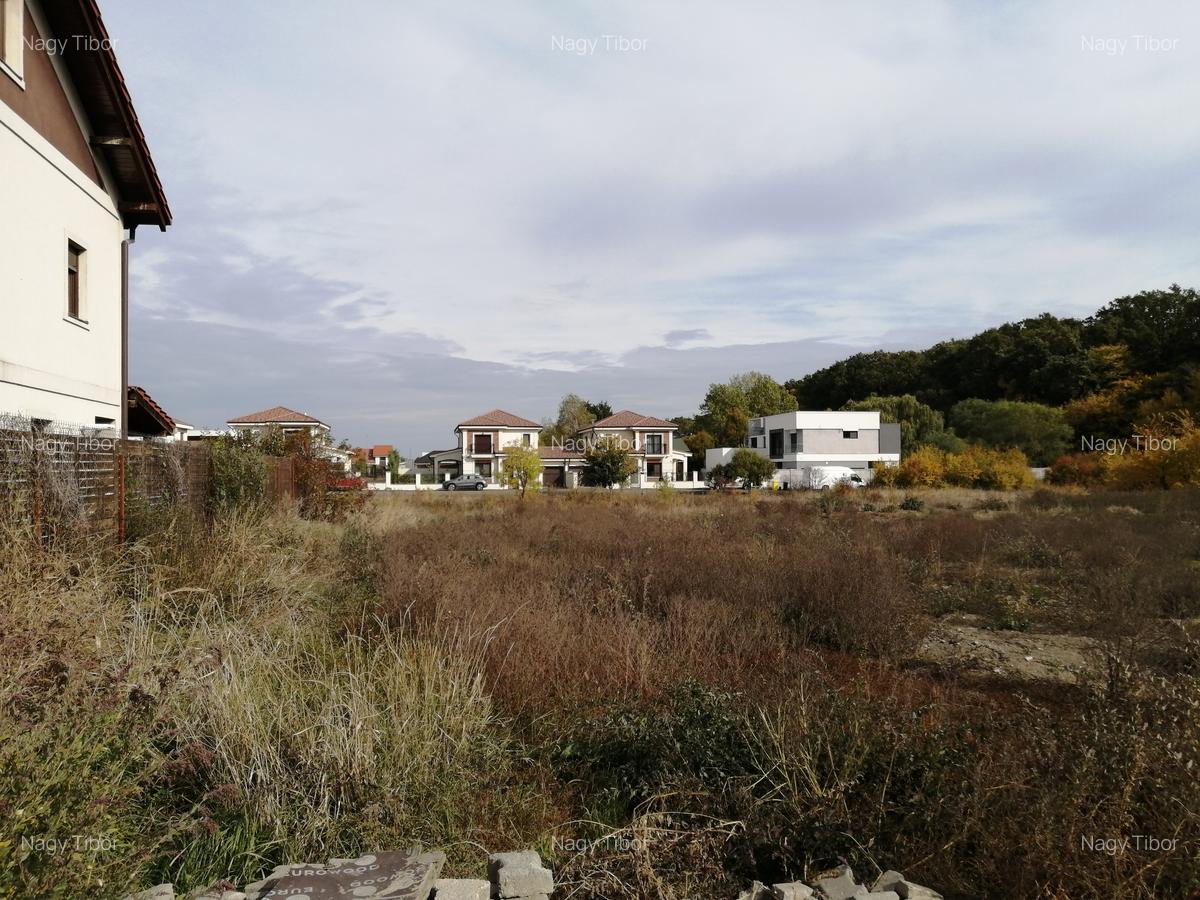 De vanzare teren , pădure zona Bălcescu, suprafață 850 mp - 3