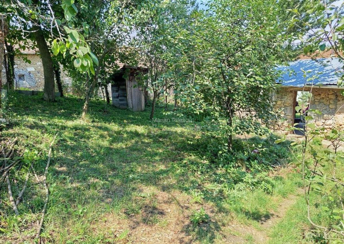 Ilidia, Casa de Vacanta, 3 Camere, 899mp Teren, Usor Negocia - 14