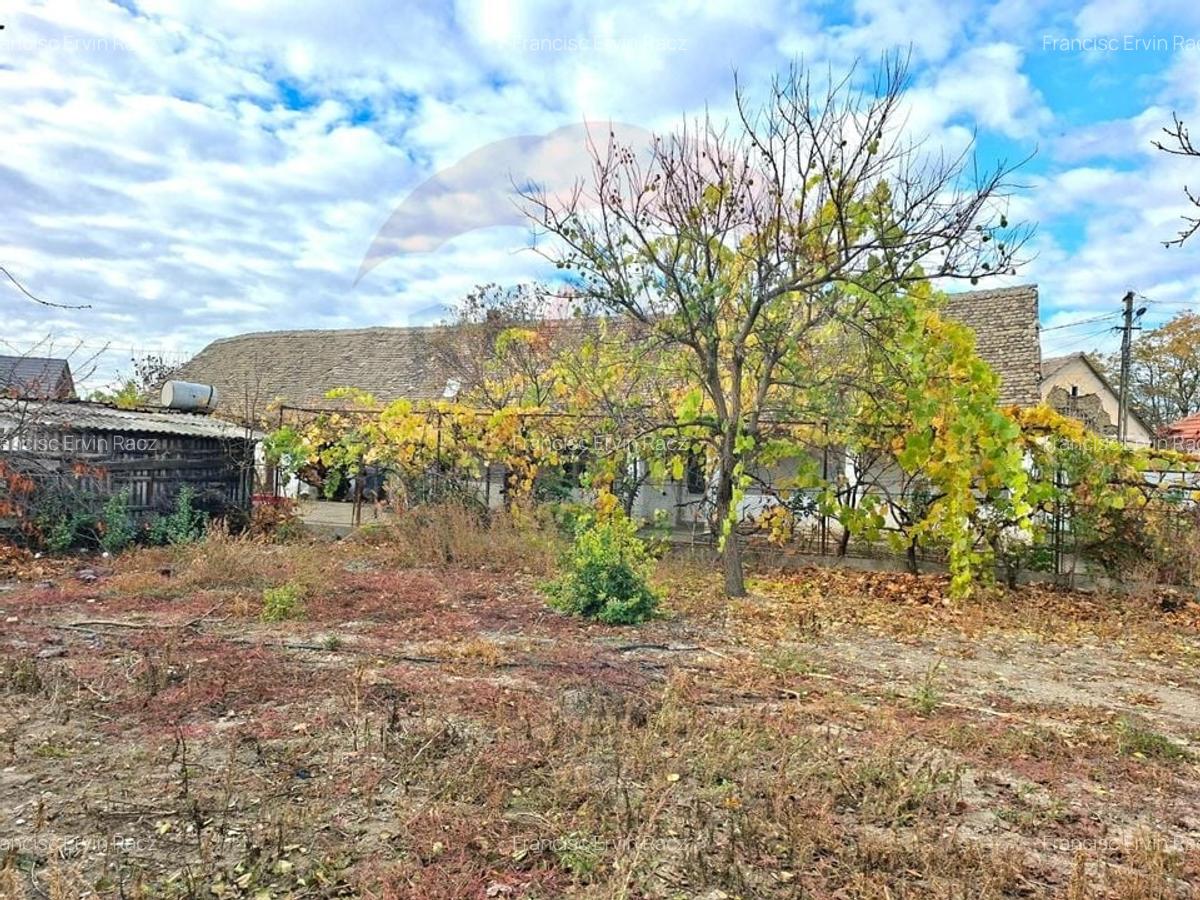 Casa veche cu teren 929 mp- oportunitate in Vladimirescu- comision 0% - 10