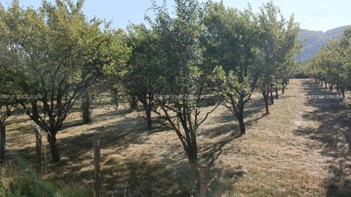 Teren 7150 mp de vanzare in Oesti Arges - 6