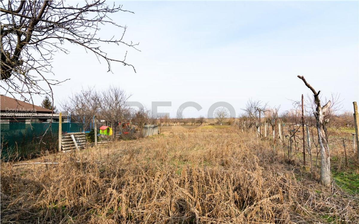 RECO Casa cu teren 3036mp, Bors - 11