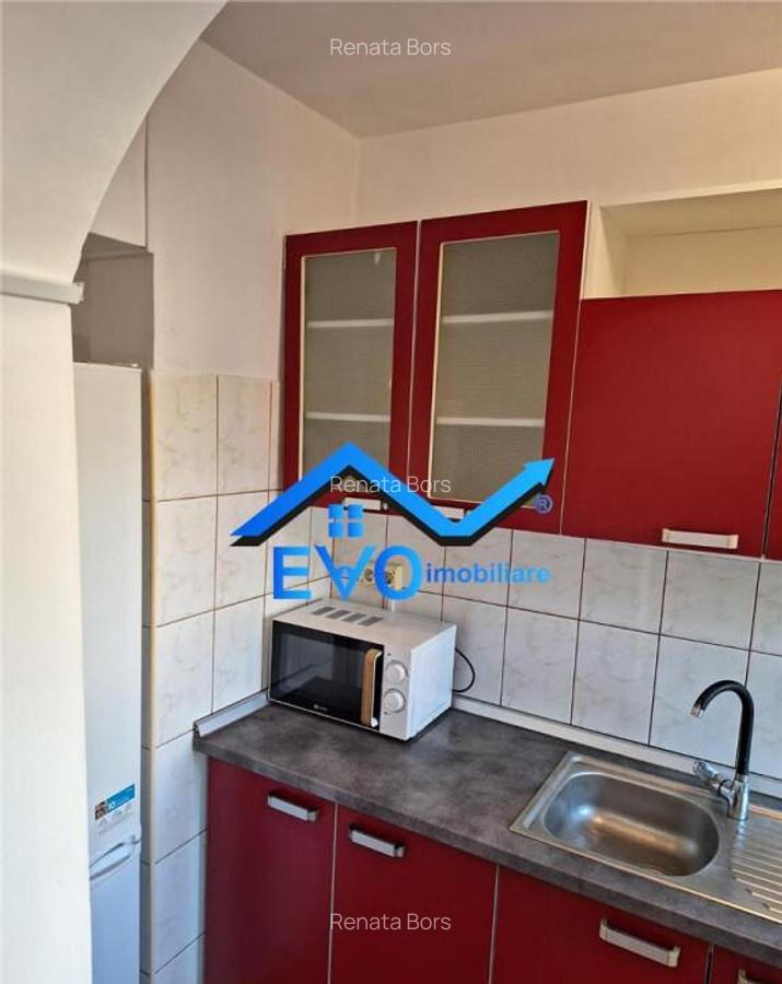 Apartment with 3 bedrooms for rent 70 sqm in Iasi, Alexandru - 10