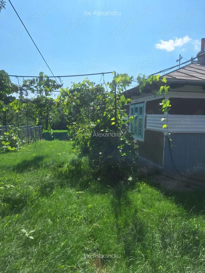Casa de vanzare - 27