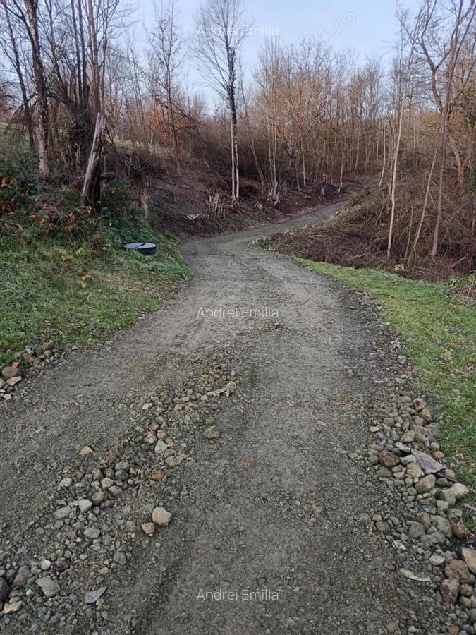 Casa de vinzare gradina ?i un hectar de teren 2 camere baie, coridor beci, bucatarie anexe,exe,, - 2