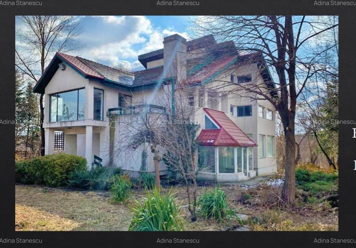 Vila Ghermanesti cu piscina, casa secundara, zona de petreceri si deschidere lac - 2