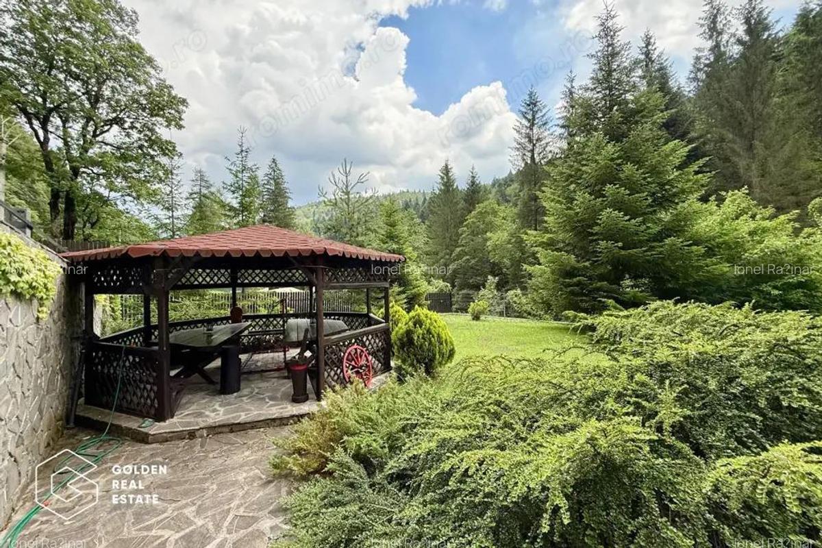 Vila de exceptie in Sinaia, mobilata, utilata, cu vedere superba - 7