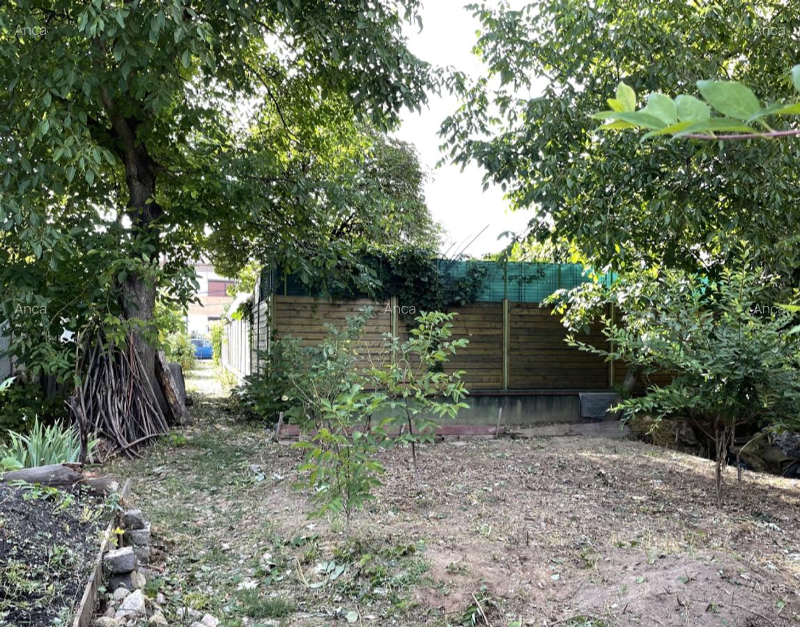 Casă cu 4 camere în Grigorescu - 4