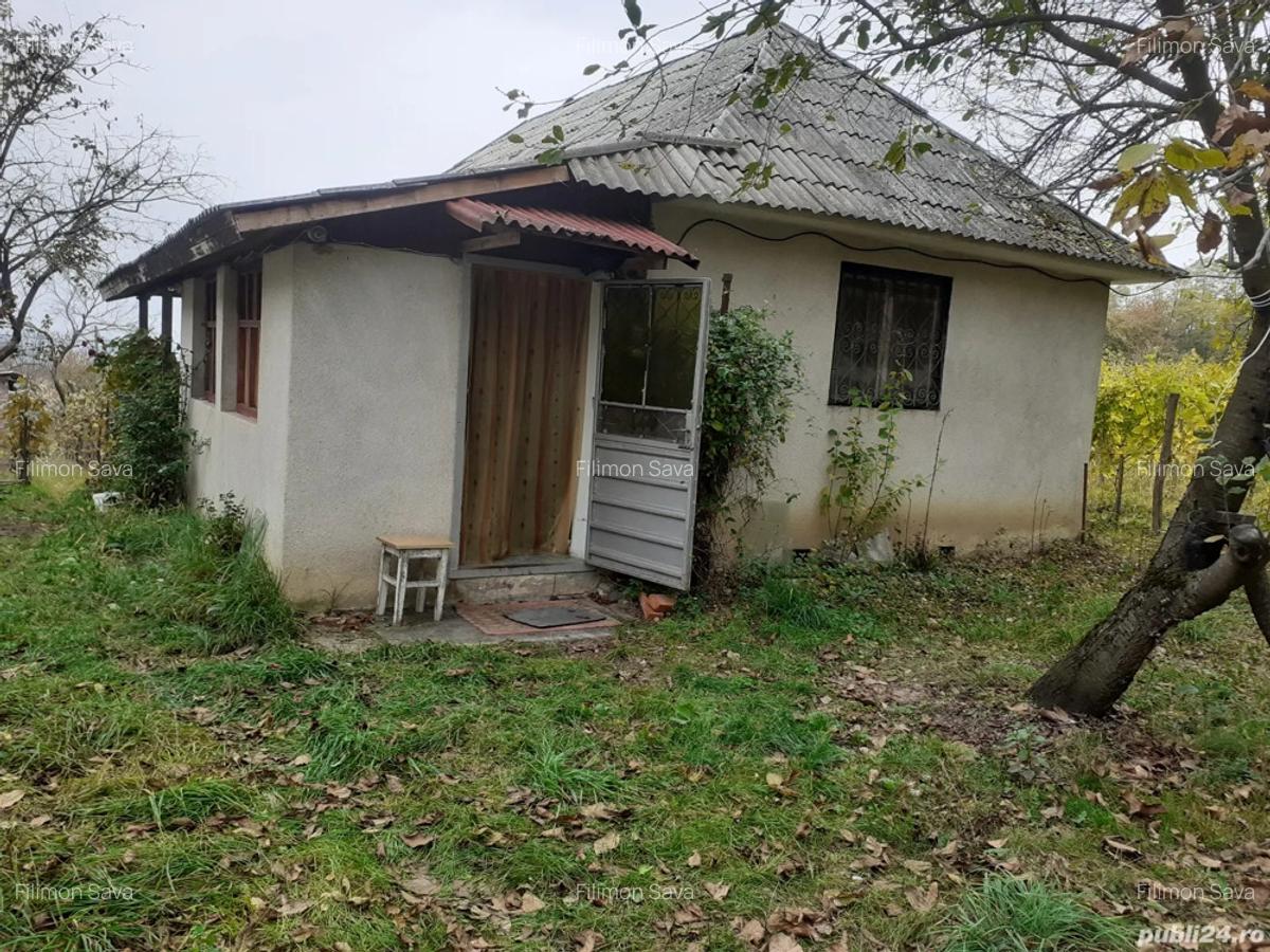 Casa de la viie - 1