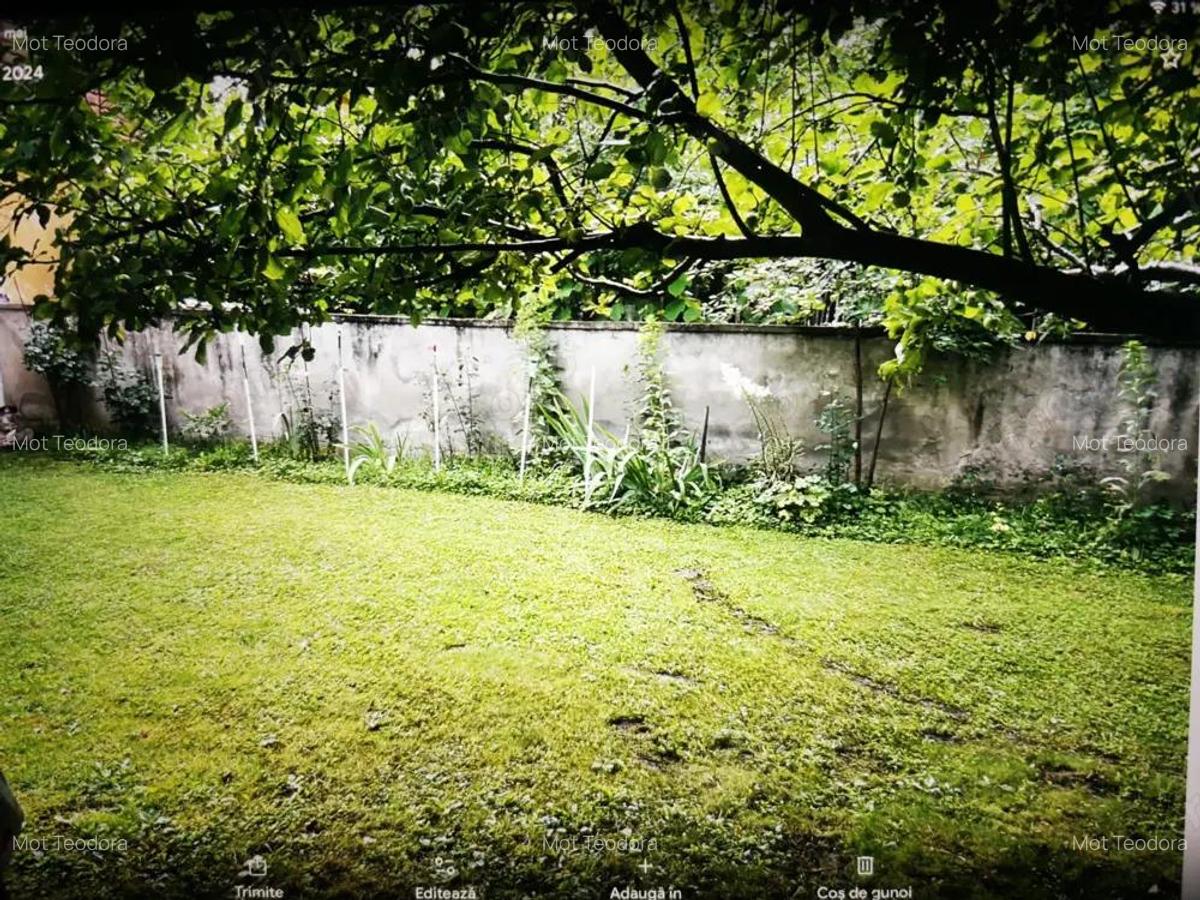 De vanzare casa in Buzad- 709 - 20