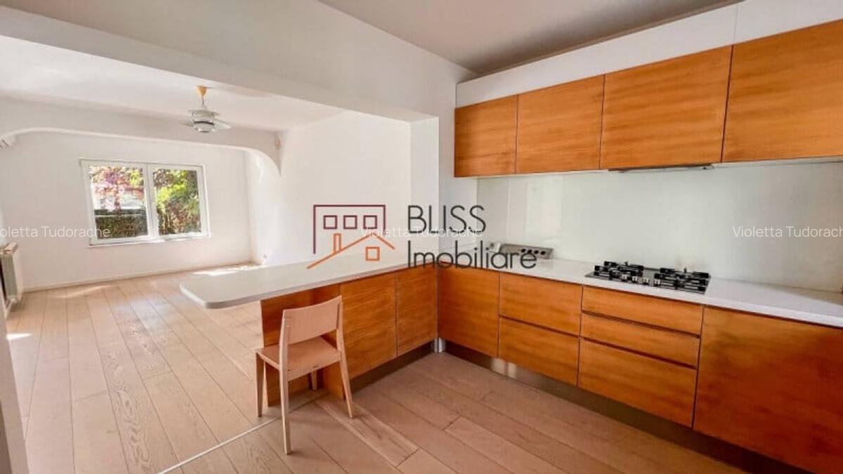 Casă / Vilă 5 camere în zona Iancu Nicolae - 3